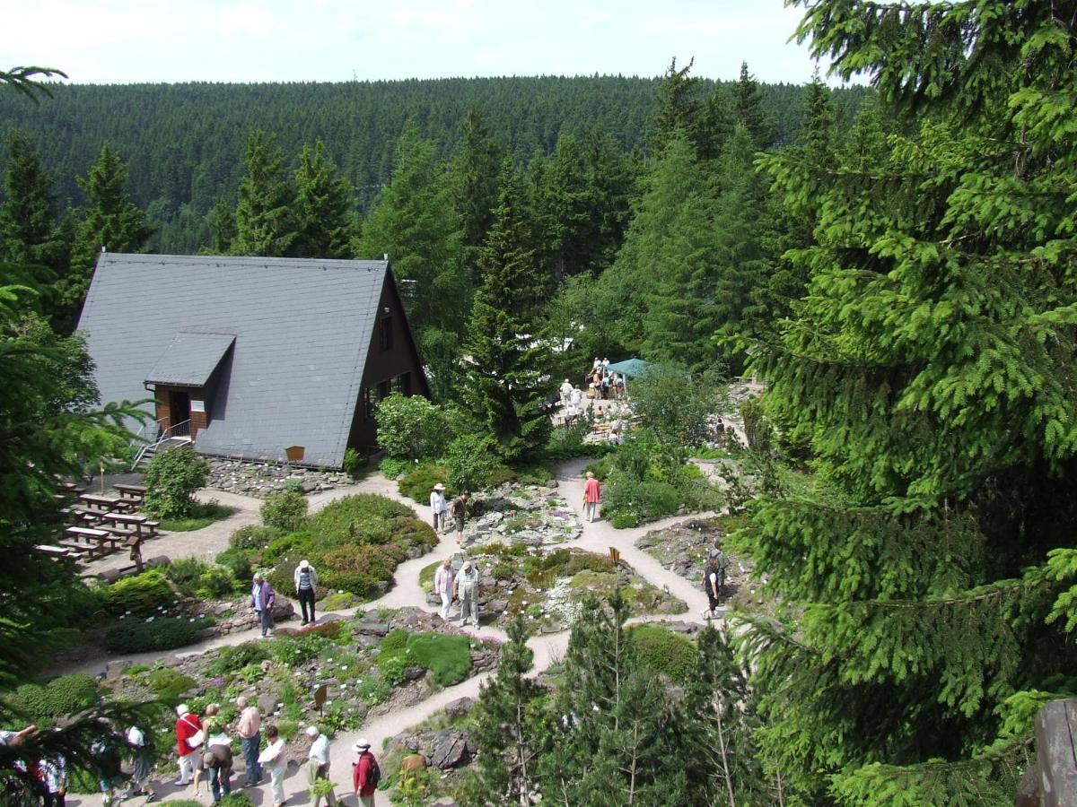 Konsum Gaestehaus Quisisana - Oberhof Oberhof  Esterno foto